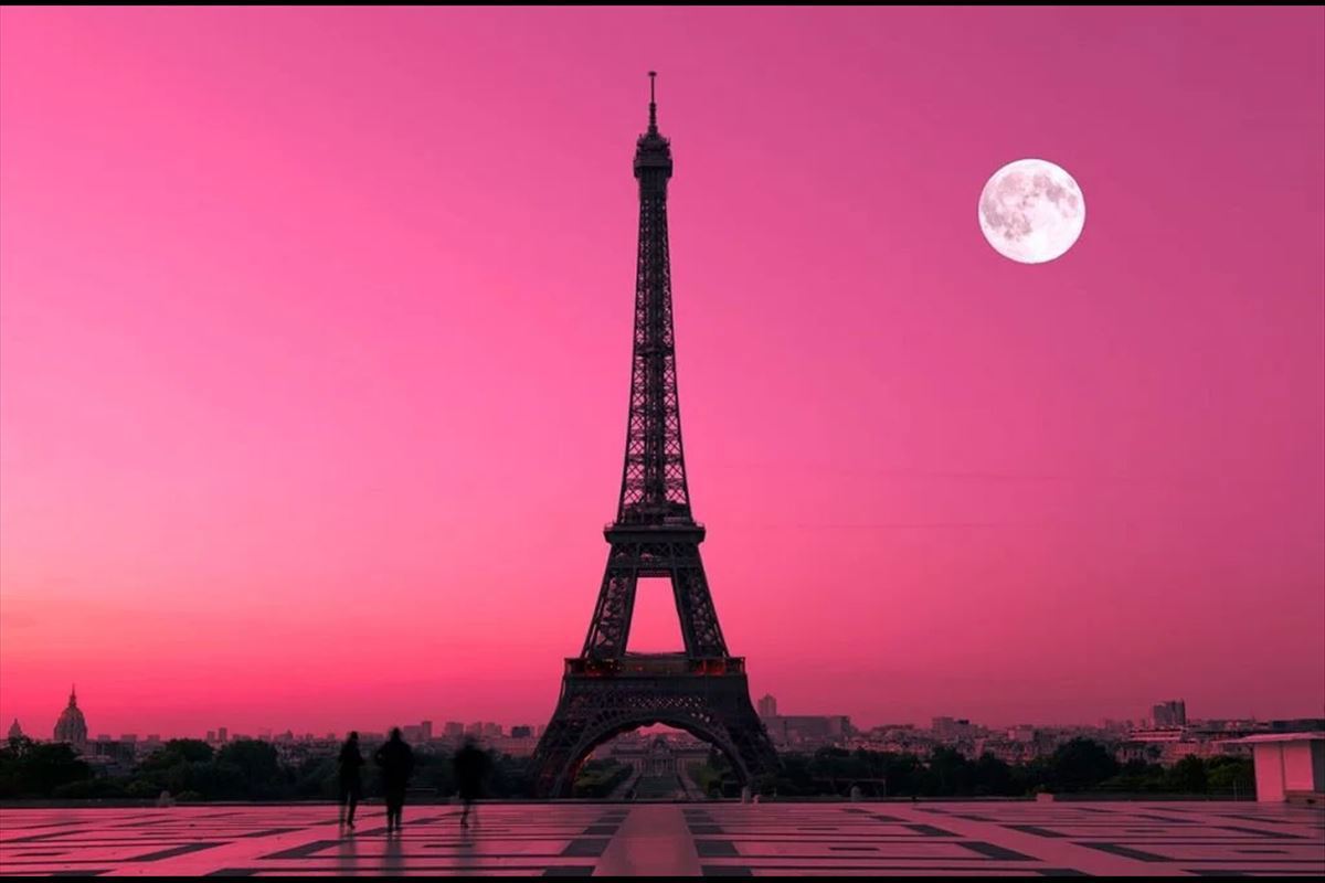 PGS Hy Ile Grand Paris & Disneyland & Bruksel ve Amsterdam Turu (Turlar Dahil) - AMS-ORY